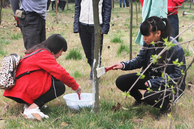 植樹節(jié)：讓愛(ài)與綠色傳遞