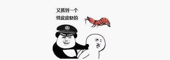 最近刷屏的“皮皮蝦”你知道是什么梗嗎？來，走起