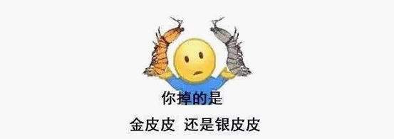 最近刷屏的“皮皮蝦”你知道是什么梗嗎？來，走起