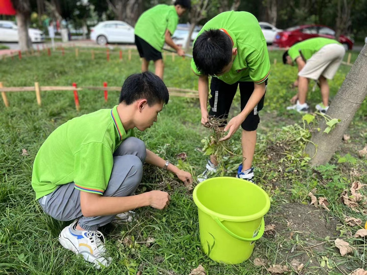 豐收季來襲！新華農場喜迎豐收季~