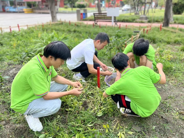 豐收季來襲！新華農場喜迎豐收季~